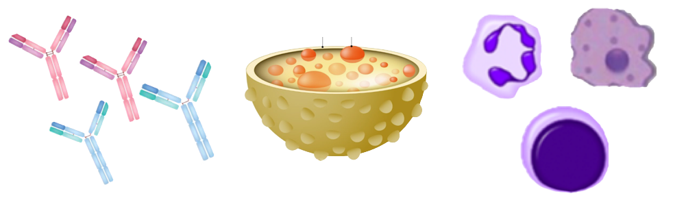 Factori imunitari
